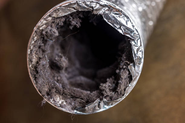 Best HVAC Maintenance and Cleaning  in Niantic, CT